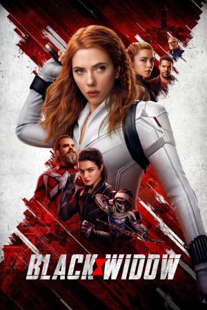 Image Black Widow – Der Film