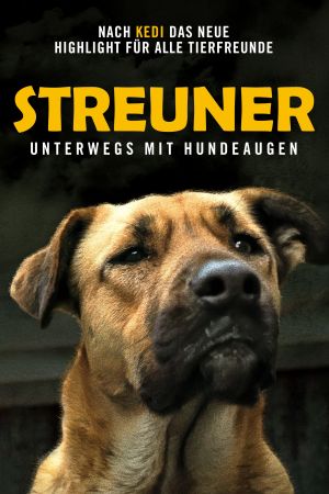 Image Streuner - Unterwegs mit Hundeaugen – Der Film