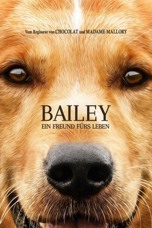 Image Bailey – Ein Freund fürs Leben – Der Film