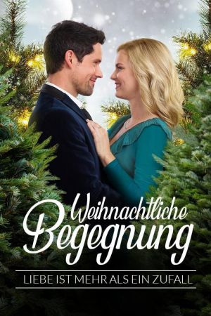 Image Weihnachtliche Begegnung - Liebe ist mehr als ein Zufall – Der Film