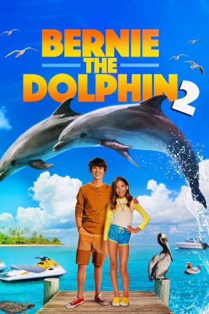 Image Bernie der Delfin 2 - Ein Sommer voller Abenteuer – Der Film