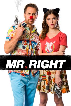 Image Mr. Right – Der Film