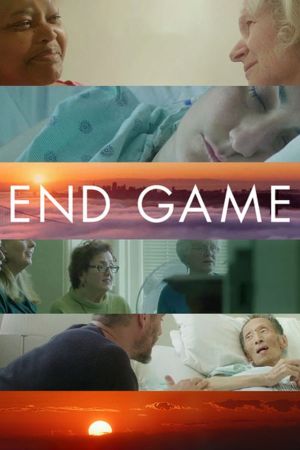 Image Endspiel – Der Film