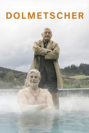 Image Der Dolmetscher – Der Film