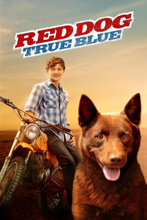 Image Red Dog – Mein treuer Freund – Der Film