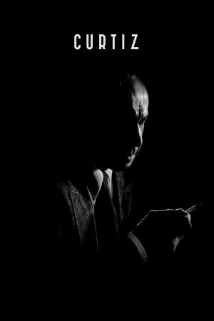 Image Curtiz – Der Film