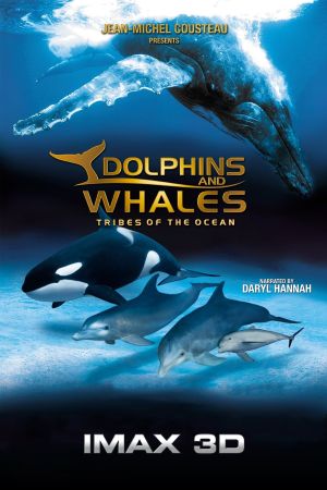 Image IMAX: Delfine und Wale – Der Film