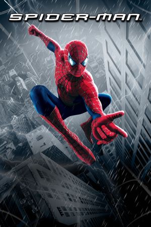 Image Spider-Man – Der Film