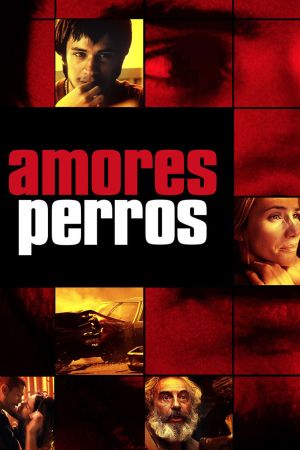 Image Amores perros – Der Film