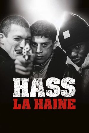 Image Hass – Der Film
