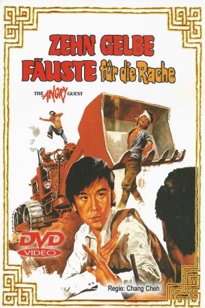 Image Zehn gelbe Fäuste für die Rache – Der Film