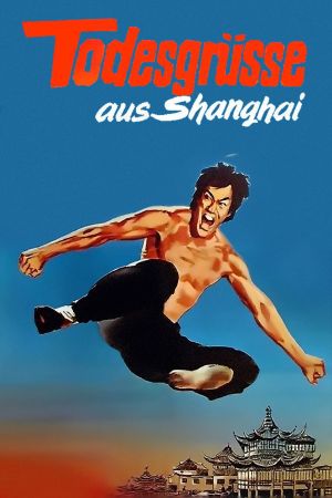 Image Todesgrüße aus Shanghai – Der Film