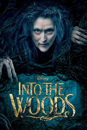 Image Into the Woods – Der Film