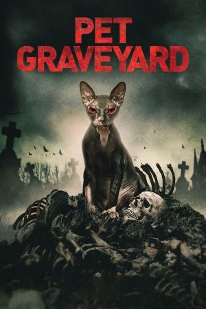 Image Friedhof am Ende der Welt – Der Film