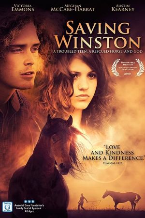 Image Das vergessene Pferd – Der Film