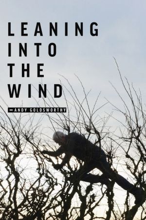 Image Leaning Into the Wind: Andy Goldsworthy – Der Film