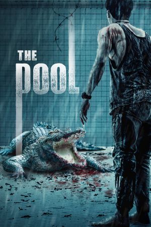 Image The Pool – Der Film