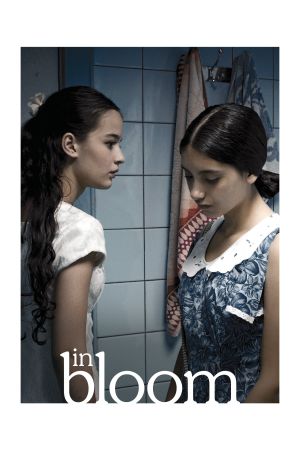 Image Die langen hellen Tage – Der Film