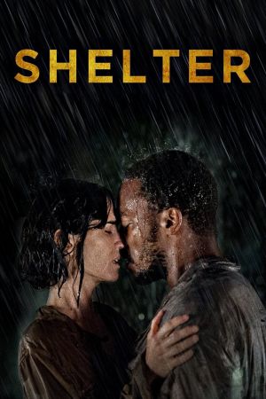 Image Shelter – Der Film