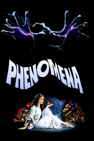 Image Phenomena – Der Film