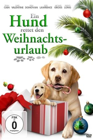 Image Ein Hund rettet den Weihnachtsurlaub – Der Film