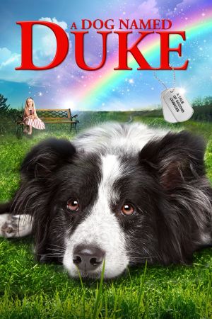 Image Ein Hund namens Duke – Der Film