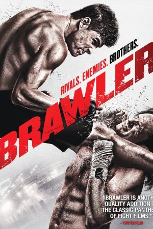 Image Brawler – Der Film