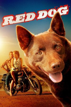 Image Red Dog – Der Film