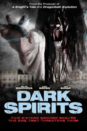 Image Dark Spirits - Angst ist dein stärkster Feind – Der Film