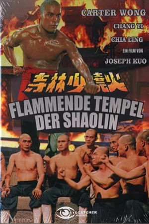 Image Flammende Tempel der Shaolin – Der Film