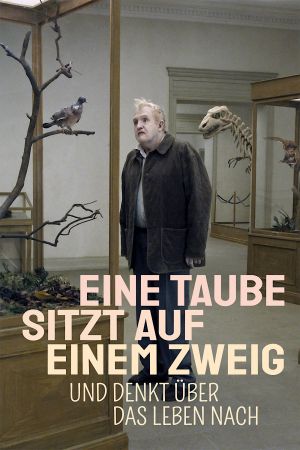 Image Eine Taube sitzt auf einem Zweig und denkt über das Leben nach – Der Film