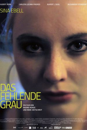 Image Das fehlende Grau – Der Film