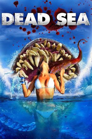 Image Dead Sea – Der Film