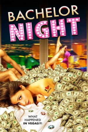Image Bachelor Night – Der Film