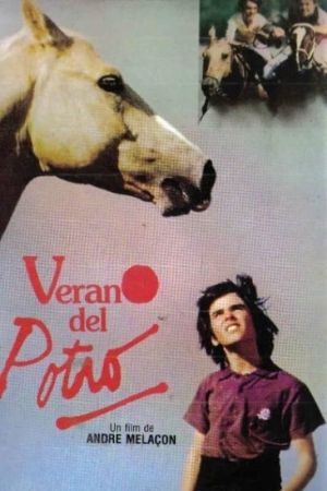 Image Geheimnisse eines Sommers – Der Film