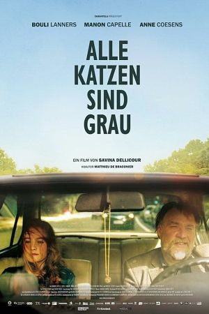 Image Alle Katzen sind grau – Der Film