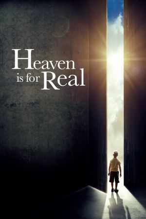 Image Den Himmel gibt's echt – Der Film