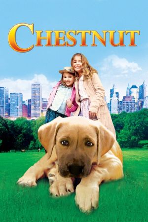 Image Chestnut - Der Held vom Central Park – Der Film