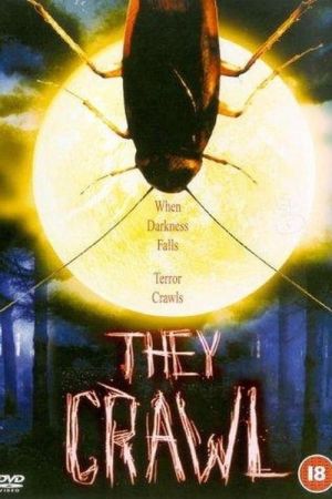 Image Crawlers – Der Film