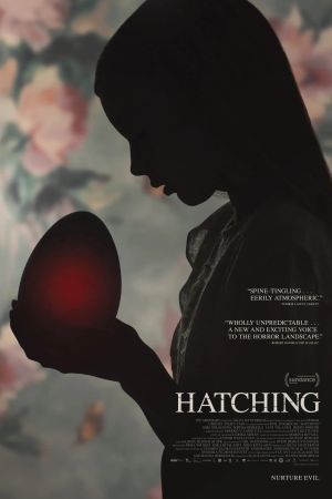 Image Hatching – Der Film