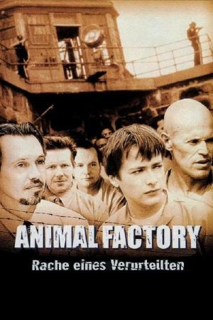 Image Animal Factory - Rache eines Verurteilten – Der Film