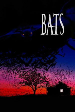 Image Bats - Fliegende Teufel – Der Film