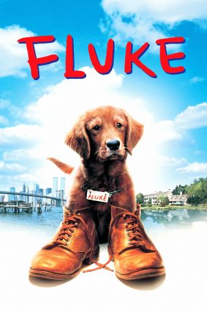 Image Fluke – Der Film