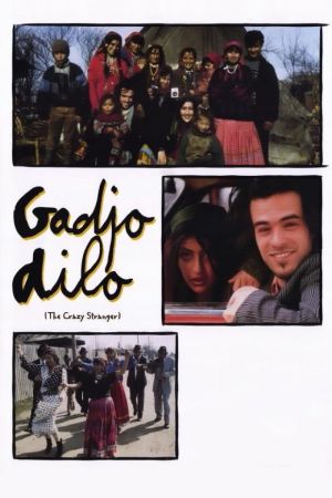Image Gadjo Dilo - Geliebter Fremder – Der Film
