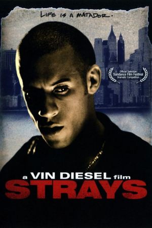 Image Strays – Lebe Dein Leben – Der Film