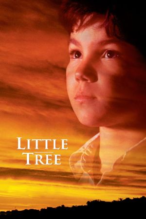 Image Indianersommer - Die Abenteuer des kleinen Indianerjungen Little Tree – Der Film