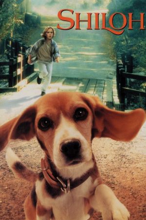 Image Vier Pfoten auf der Flucht – Der Film