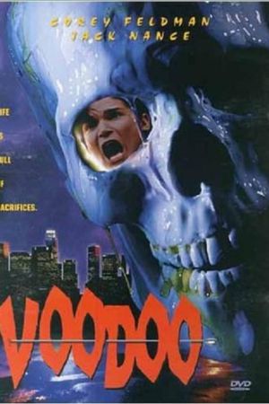 Image Voodoo – Der Film