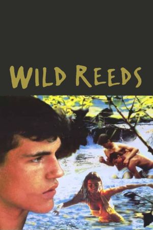 Image Wilde Herzen – Der Film