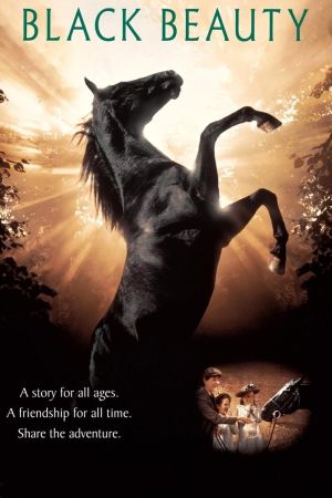 Image Black Beauty – Der Film